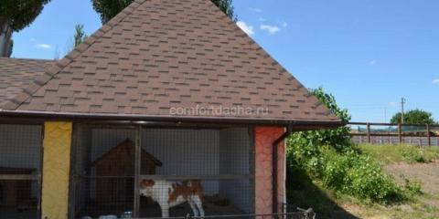 Уолтър за куче в двора на частна къща